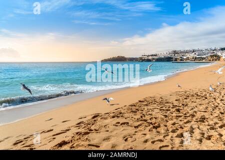 Gabbiani che volano sulla spiaggia nel villaggio turistico di Albufeira al tramonto. L'ampia spiaggia di sabbia Praia de Albufeira con case bianche nella città vecchia sulla scogliera è popu Foto Stock