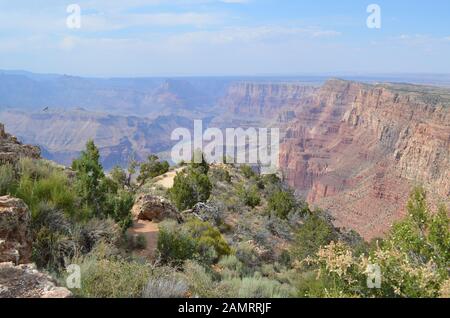 Estate Nel Grand Canyon: Punto Comanche, Tanner Canyon, Fiume Colorado, Lava Canyon, Chuar Butte E Cape Solitude Visto Dalla Desert View Watchtower Foto Stock