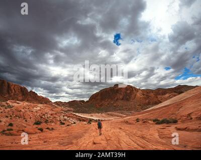 Donna escursioni in Valley of Fire state Park con tempesta in avvicinamento, Nevada, Stati Uniti