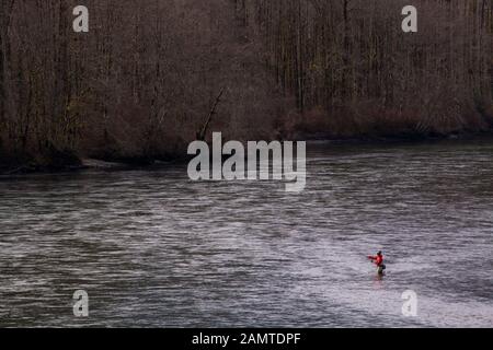 Scena di un solitario pescatore a mosca sul fiume Skagit in Rockport, WA, in inverno Foto Stock