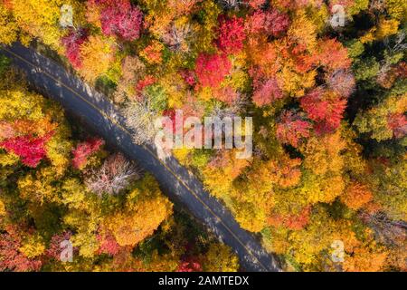 Veduta aerea di una strada attraverso White Mountain National Forest, Lincoln, New Hampshire, Stati Uniti Foto Stock