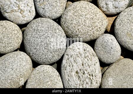 Pietre rotonde grandi pressate vicino a vicenda giacciono sul terreno. Foto Stock