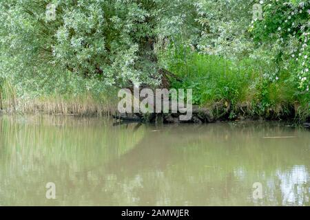 Il lungo frangiflutti costituito da rocce nel mezzo di un idilliaco lago blu Foto Stock