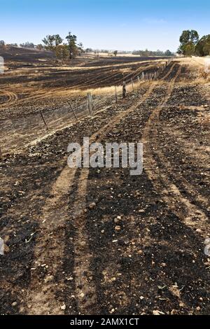 Lexton Australia / Dopo gli incendi nel bush in Lexton Victoria Australia. Foto Stock