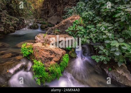 Fiume Banias a nord di Israele, che scorre su rocce, fucilato con tecnica di esposizione lunga. Foto Stock