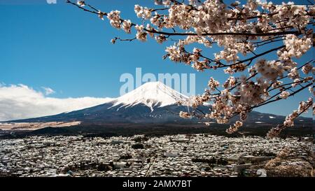 Il monte Fuji con la fioritura dei ciliegi a Pagoda Chureito piattaforma view, Yamanashi, Giappone Foto Stock
