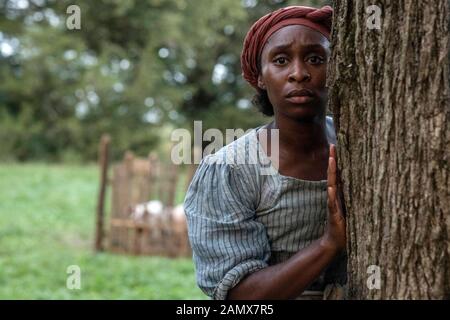 Harriet (2019) diretto da Kasi Lemmons e protagonista Cynthia Erivo come Harriet Tubman che sfuggì a una vita di schiavitù solo per tornare a salvare circa settanta altre persone in schiavitù utilizzando la ferrovia sotterranea e di nuovo durante la guerra civile americana, dove più di 750 schiavi sono stati salvati nella Combahee Raid Fluviale. Foto Stock