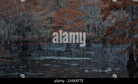 Questa è la foto di sunrise a caddo Lake Texas, Louisiana, Stati Uniti d'America Foto Stock