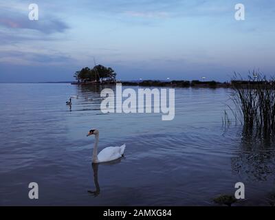 Sunnrise sul lago Balaton Foto Stock