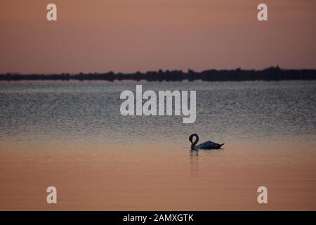 Sunnrise sul lago Balaton Foto Stock