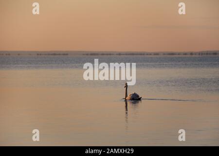 Sunnrise sul lago Balaton Foto Stock