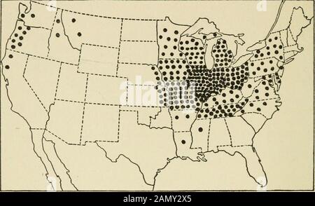 Un libro di testo di erbe con particolare riferimento alle specie economiche degli Stati Uniti. Fig. 3. Produzione di timoteo e trifoglio misto negli Stati Uniti. Una dotrappresenta 100.000 tonnellate. 16 UN LIBRO DI TESTO DI ERBE. Fig. 4. Produzione di trifoglio da solo negli Stati Uniti. Un punto rappresenta 10.000 tonnellate. Foto Stock