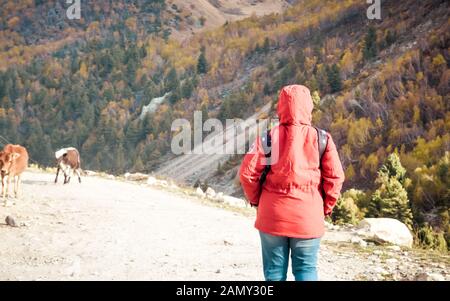 Vista posteriore donna adulta solo traveler in giacca rossa su un viaggio a piedi da sola nella strada sterrata circondata dalla foresta e la montagna, attività all'aperto e li Foto Stock