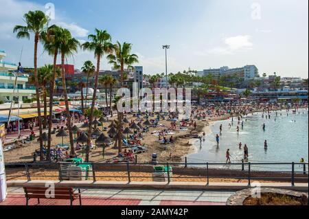 Canarie TENERIFE, SPAGNA - 26 dicembre 2019: Palme vicino alla spiaggia chiamata playa la pinta puerto colon. Una spiaggia molto popolare vicino alla città di San Foto Stock