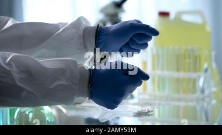 Assistente di laboratorio ammanettato per il trattamento illegale di farmaci clandestino laboratorio farmaceutico Foto Stock