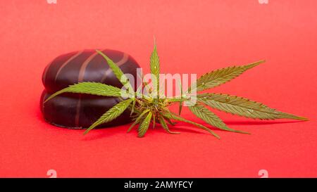 Marshmallows in cioccolato e foglie di cannabis su uno sfondo di colore rosso. Foto Stock