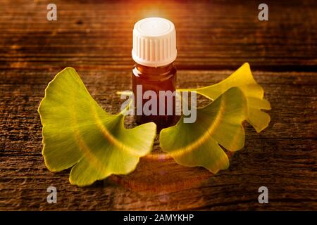 Ginkgo estratto essenziale in una bottiglia e foglie fresche Foto Stock