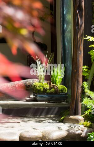 TOGENKYO un paradiso sulla terra - progettato da KAZUYUKI ISHIHARA migliore giardino artigianale - RHS CHELSEA Foto Stock