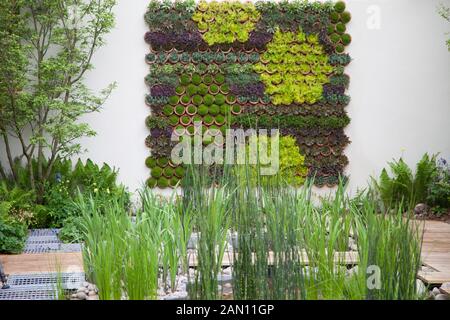 RHS Chelsea Flower Show 2013 RBC ACQUA BLU ROOF GARDEN DESIGNER NIGEL DUNNET e il paesaggio agenzia. Foto Stock