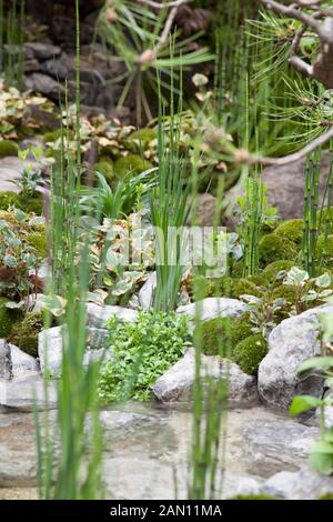 RHS Chelsea Flower Show 2013 un'alcova (TOKONOMA GIARDINO) ISHIHARA KAZUYUKI LABRATORY DESIGN. Il tatami giapponese camera. Foto Stock