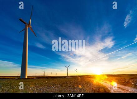 Parco eolico e mulini a vento in paesaggi e campi di tramonto. Concetto di ingegneria e energie rinnovabili. Ecologia e ambiente Foto Stock