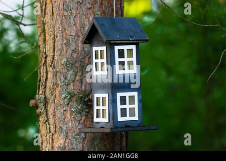 Self Made birdhouse appesi da pino in finlandese serata estiva Foto Stock