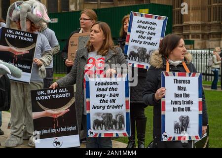 Azione Per Gli Elefanti, Uk Ban All Ivory Trade Protesta, Westminster, London, Uk. 6th febbraio 2017. I manifestanti al di fuori del Parlamento chiedono al primo ministro e ai parlamentari di vietare tutto il commercio di avorio nel Regno Unito. Credito: Maureen Mclean/Alamy Foto Stock