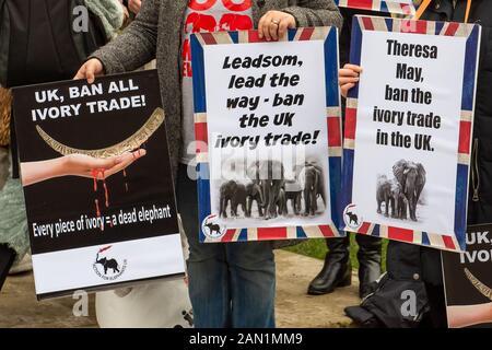 Azione Per Gli Elefanti, Uk Ban All Ivory Trade Protesta, Westminster, London, Uk. 6th febbraio 2017. I manifestanti al di fuori del Parlamento chiedono al primo ministro e ai parlamentari di vietare tutto il commercio di avorio nel Regno Unito. Credito: Maureen Mclean/Alamy Foto Stock