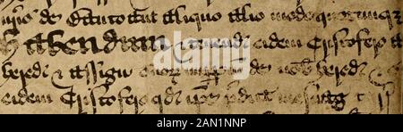 Memoriale di Henry Wolcott, uno dei primi coloni di Windsor, Connecticut, e di alcuni dei suoi discendenti . 1. 1Stit^3 fi2 ^W^-i^^ fy^:^^ t^^T-^t? -^n/ lxii4& yi^ ^CTA«r i» rn^ h^ 4i&lt;s2/M^HSiVui Foto Stock