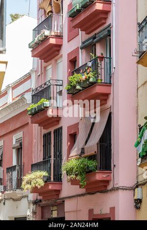 Verdeggianti balconi si stillano fuori da un edificio di appartamenti rosa in Calle Bustos Tavera di Siviglia Foto Stock