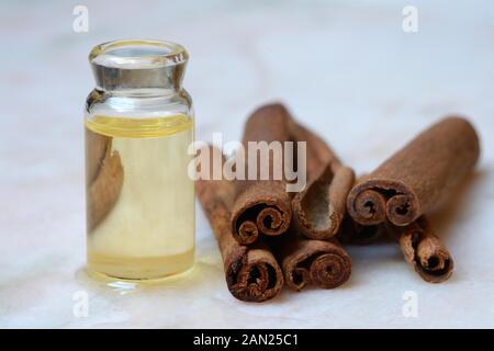 Olio di cannella in bottiglia accanto alla corteccia di cannella, Germania Foto Stock