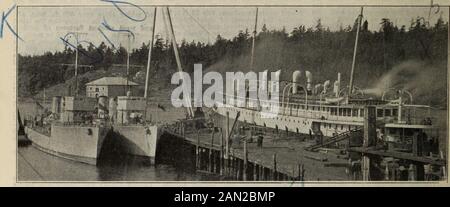 Trasporti e distribuzione canadese. Insediamenti. La società ha utilizzato altri due schooner sul percorso del thesame. B. M. Melanson, Gilberts Cove, N.S., ha completato la s.s. R. W. Hendryfor Magdalen Transports Ltd. Le sue di-mensions sono, - lunghezza totale 150 ft., lunghezza b.p. larghezza 28,4 ft., profondità 11,1 ft., stazza 479 lorda, 353 netti. Sheis dotato di en-gine a tripla espansione, con cilindri 12%, 19% e 31%in. Diar. Da 20 in. Stroke, di New BurrillJohnson Iron Co., Yarmouth, N.S. Theboiler sono stati forniti da John Inglis Co., Toronto. Ha alloggio for20 prima cla Foto Stock