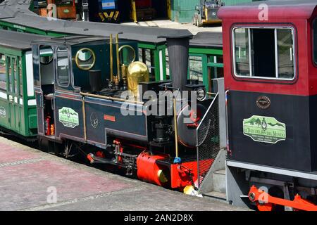 Locomotiva e il treno della fine del mondo, El Tren del fin del mundo, Ushuaia, Tierra del Fuego (terra di fuoco), Argentina, Sud America Foto Stock
