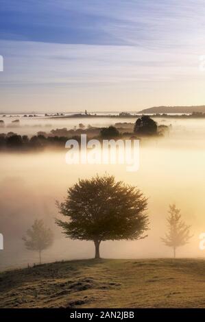 Alba sopra i livelli di Somerset vista da Burrow Mump Burrowbridge, Somerset, Inghilterra Settembre 2007 Foto Stock