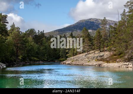 Giornata di sole dal freddo spumeggiante fiume nella foresta di pini montagne della Norvegia. Sfondo naturale con cielo blu e nuvole Foto Stock