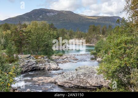 Giornata di sole dal freddo spumeggiante fiume nella foresta di pini montagne della Norvegia. Sfondo naturale con cielo blu e nuvole Foto Stock