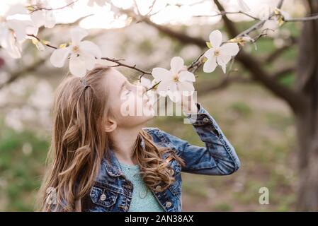 Ritratto di bella ragazza con ricci capelli lunghi. Bella ragazza in blue jeans camicia odori magnolia blossom ramo dell'albero. Concetto di primavera. Spazio di copia Foto Stock