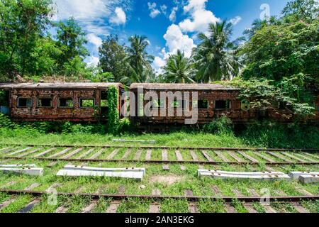 Sri lanka treno nella giungla. Vecchia ferrovia. Treno Natura nei pressi di Colombo. Strada sovradimensionate. Perso il posto nei pressi di Colombo. Foto spot. Sri lanka destinazione di viaggio. Foto Stock