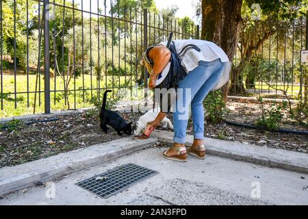 Una donna greca alimenta un può di alimento di gatto a due gatti randagi presso l'Olympia Grecia site. Foto Stock