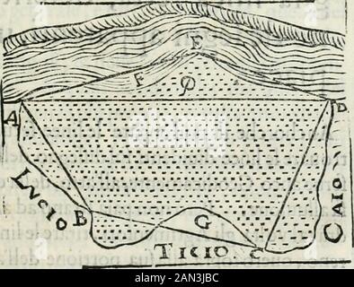 Modo del gruppo l'allvvvioni da qvello di Bartolo, et de gli agromensori diversoMostretto con ragioni matematiche & con pratica . emo la feconda Dimanda del prodotto le dette linee, elima, e laltra, ci feruirà per applicazione le linee diualla effitaAlluione. DIMANDA PRIMA.1 che fia lecito,dalla mifura già fattadentro delle linee rette, titrate avvocati tutuuuione.per regolarità.,potere,in ricompenia del buon terreno, e del fiu-me nelladiuifìone, detrahefe dall vno,6c aggiornamento alltro degli intereffati,fecalondo il bifago no misura. Vieni (ària Foto Stock