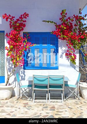 Una tipica casa nel villaggio tradizionale di Megalochori a Santorini, Grecia con pareti bianche, porte e finestre blu e fiori di bouganvillea. Foto Stock