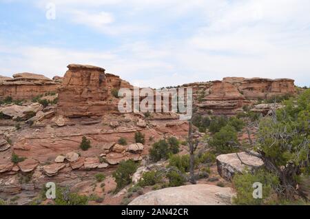 Inizio estate in Utah: Guardando verso est Lungo la cima del Big Spring Canyon dal Punto Di Vista nel Needles District del Canyonlands National Park Foto Stock