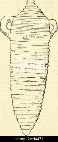 Antichità romane: O, un racconto delle maniere e dei costumi dei Romani; . – agli ospiti in terra (anfora.e veltestce) con manici,^quindi chiamati diut.e,^o in grandi bottiglie di giocoltello (ampull.e)di vetro,^ pelle,^ orearth/ su ciascun ofuhich sono state apposte etichette o piccole fettine di pergamena,^ giv-ing- una breve descrizione della qualità e del vino; Così, FALERNUM, OPI-MIANUM ANNORUM CEN-TUM, OpimiaU Faler-nian, centredenne. FC;talvolta diversi tipi di vino e di frutta sono stati posti davanti agli ospiti secondo il loro diverso rango; ^^ da dove vinum dominicum, il Dr. Vino Foto Stock