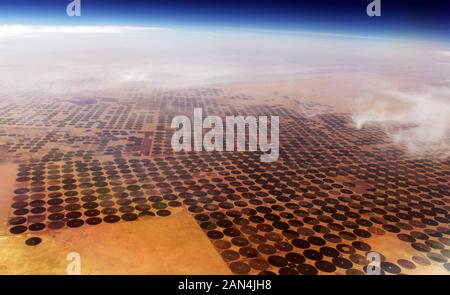 Vista aerea di agricoltura circolare campi nel deserto arabico negli EMIRATI ARABI UNITI. Foto Stock