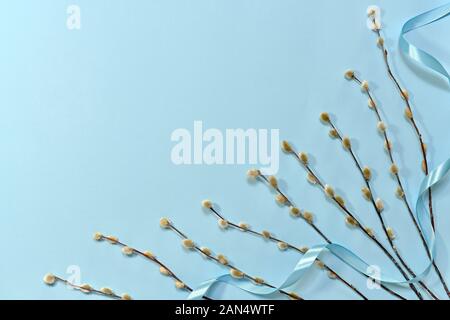 Rametti di salice sono paralleli gli uni agli altri nell'angolo inferiore sinistro, grande con un nastro su uno sfondo blu. Foto Stock