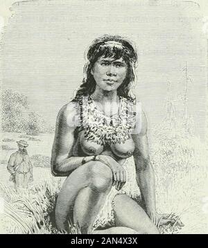 América pintoresca; descripcion de viajes al nuevo continente por los mas modernos exploradores . Un del suelo que es incapaz de alimentar árboles. El I. de diciembre (vigésimo dia de nuestra bajada por el rio) vemos afluente onu bas-tante notevole llamado Tapukiirii, que significa textualmente rio de las rocas (íapii, rocas;kuru, rio). Por la tarde llegamos á Malaripo, lugar situado en medio del Bosque, á kiló dos-metro de la orilla derecha, en el cual me detengo dos dias para far provisión de cazabe.Malari es onu tunante que nos niega víveres così pretexto de que su yuca no está madura, y Foto Stock