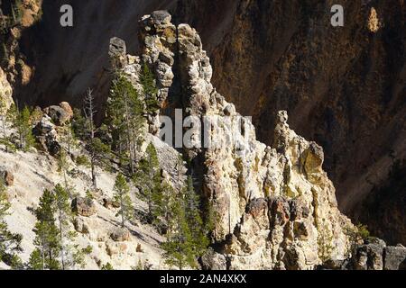 Erosione ha creato belle e spettacolari guglie di calcare sulle pareti di Yellowstone il Grand Canyon Foto Stock