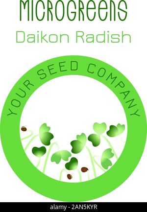 Daikon Microgreens radicchio. Seme packaging design, elemento rotondo nel centro. Integratore vitaminico, cibo vegan Illustrazione Vettoriale