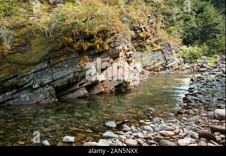 Una piscina chiara lungo una parete rocciosa sulla North Fork di Callahan Creek, nella contea di Lincoln, Montana. Foto Stock