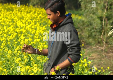 Giovane uomo nel campo dei fiori di senape che tiene in mano fiori gialli con il volto sfocato nella scena rurale all'aperto Foto Stock
